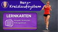 TL Herz-Kreislaufsystem