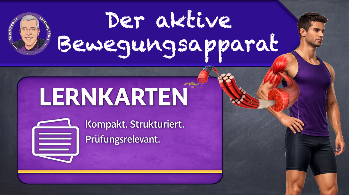 TL Der aktive Bewegungsapparat