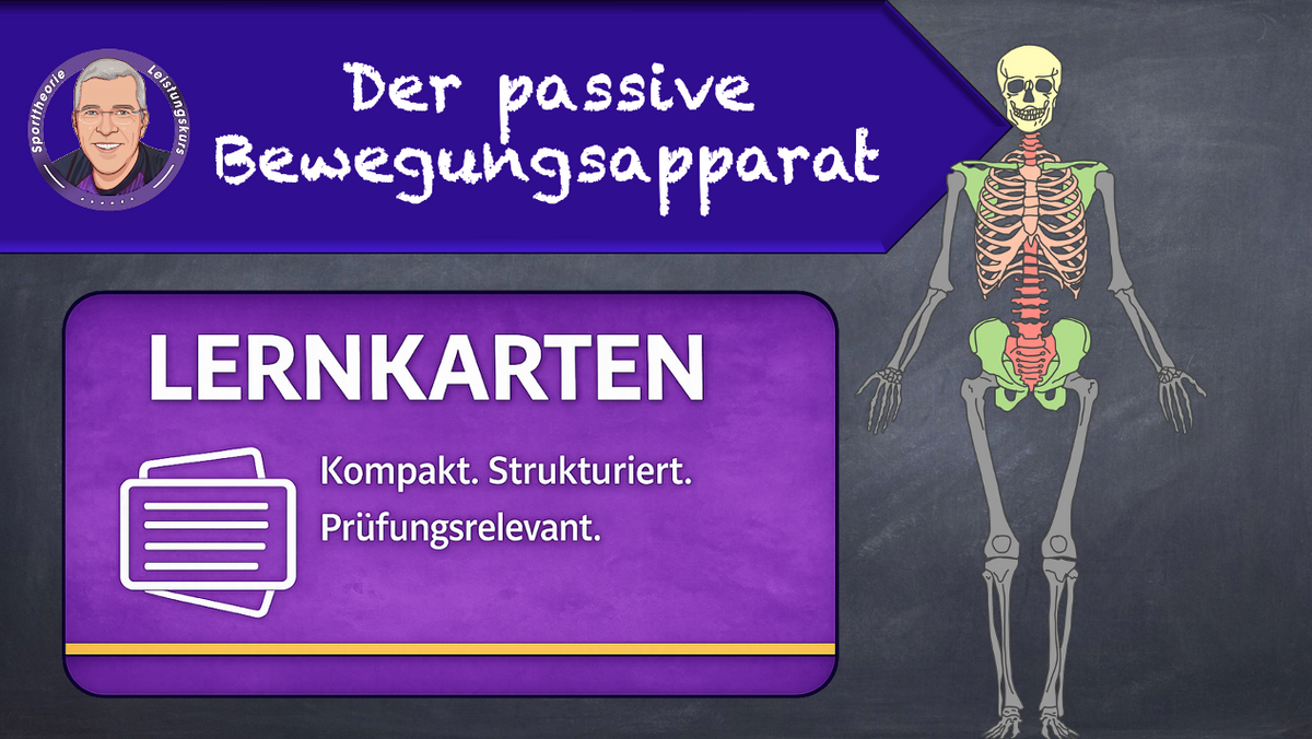 TL Der passive Bewegungsapparat